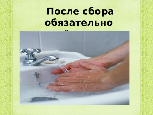  После сбора обязательно вымойте руки с мылом! 