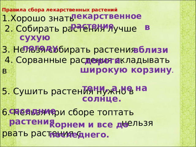 Правила сбора лекарственных растений 1.Хорошо знать  2. Собирать растения лучше 3. Нельзя собирать растения  4. Сорванные растения складывать в  5. Сушить растения нужно в 6. Нельзя при сборе топтать  нельзя рвать растения с   лекарственное растение  в сухую  погоду.  вблизи дороги . широкую корзину .   тени, а не на солнце.   соседние растения ,   корнем и все до последнего.   