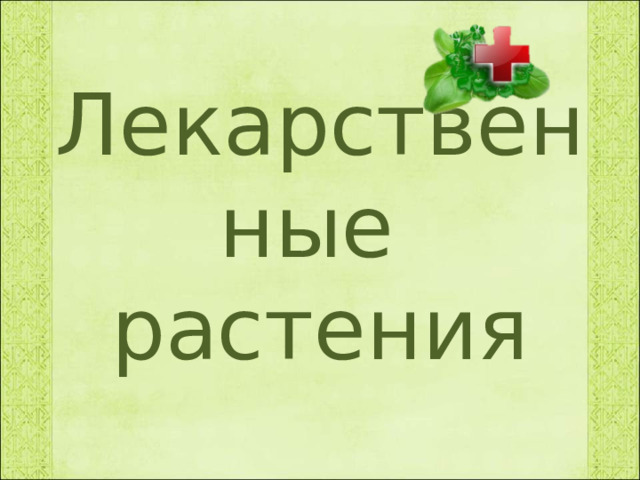 Лекарственные  растения 