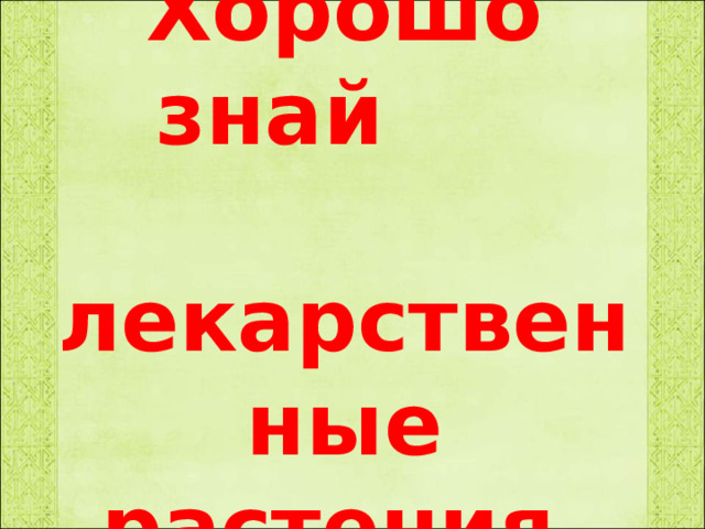 Хорошо знай  лекарственные  растения. 