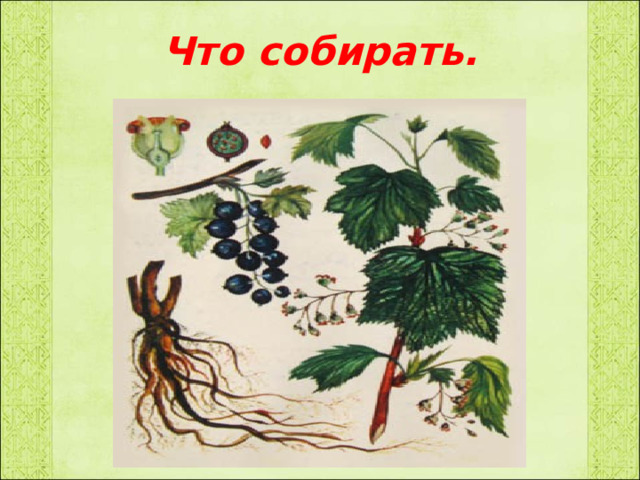 Что собирать. 