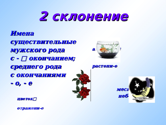 2 склонение Имена существительные мужского рода с - □ окончанием; среднего рода с окончаниями - о, - е   цветок □  отражени - е    аквариум □   растени - е          месяц □  неб - о 