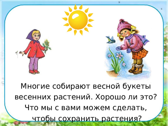 Многие собирают весной букеты весенних растений. Хорошо ли это? Что мы с вами можем сделать, чтобы сохранить растения? 