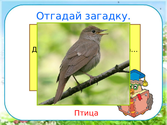 Отгадай загадку. Снится ночью пауку Чудо-юдо на суку, Длинный клюв и два крыла… Прилетит – плохи дела. А кого паук боится? Угадали? Это … Птица 