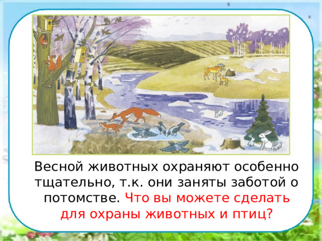  Весной животных охраняют особенно тщательно, т.к. они заняты заботой о потомстве. Что вы можете сделать для охраны животных и птиц? 