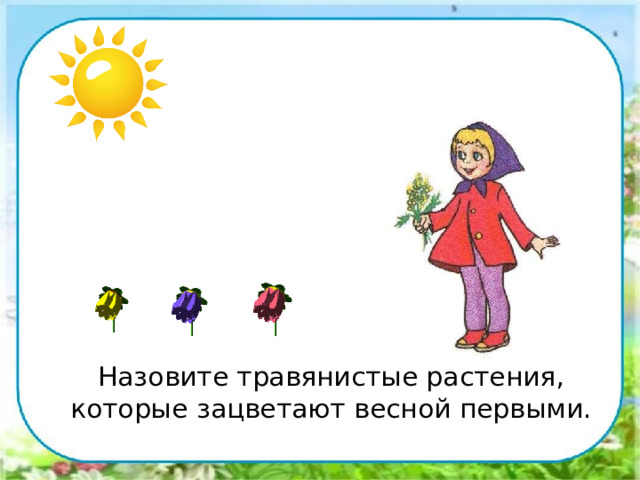  Назовите травянистые растения, которые зацветают весной первыми. 