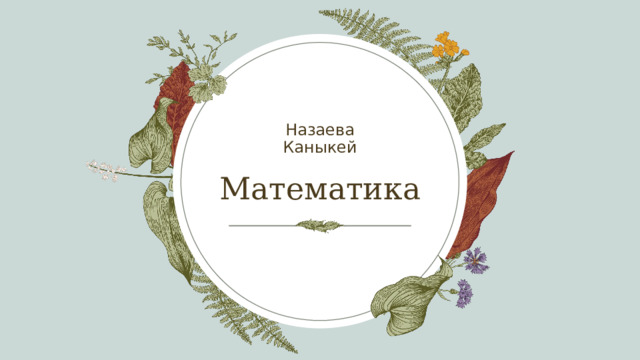 Назаева Каныкей Математика 1 
