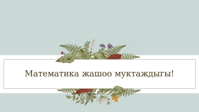 Математика жашоо муктаждыгы! 1 