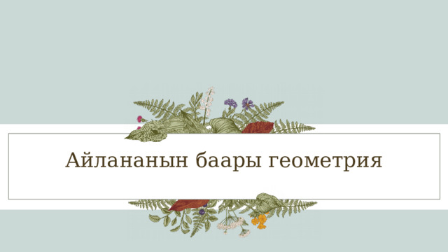 Айлананын баары геометрия 