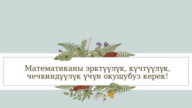 Математиканы эрктүүлүк, күчтүүлүк, чечкиндүүлүк үчүн окушубуз керек! 