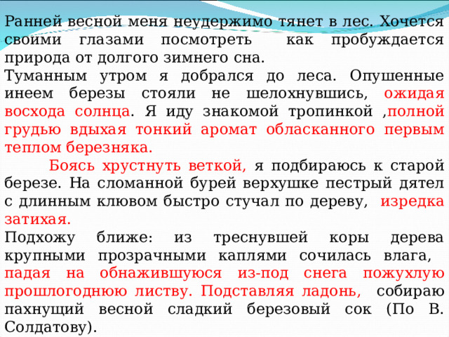 Ранней весной меня неудержимо тянет в лес. Хочется своими глазами посмотреть как пробуждается природа от долгого зимнего сна. Туманным утром я добрался до леса. Опушенные инеем березы стояли не шелохнувшись, ожидая восхода солнца . Я иду знакомой тропинкой , полной грудью вдыхая тонкий аромат обласканного первым теплом березняка.  Боясь хрустнуть веткой, я подбираюсь к старой березе. На сломанной бурей верхушке пестрый дятел с длинным клювом быстро стучал по дереву, изредка затихая. Подхожу ближе: из треснувшей коры дерева крупными прозрачными каплями сочилась влага, падая на обнажившуюся из-под снега пожухлую прошлогоднюю листву. Подставляя ладонь, собираю пахнущий весной сладкий березовый сок (По В. Солдатову). 
