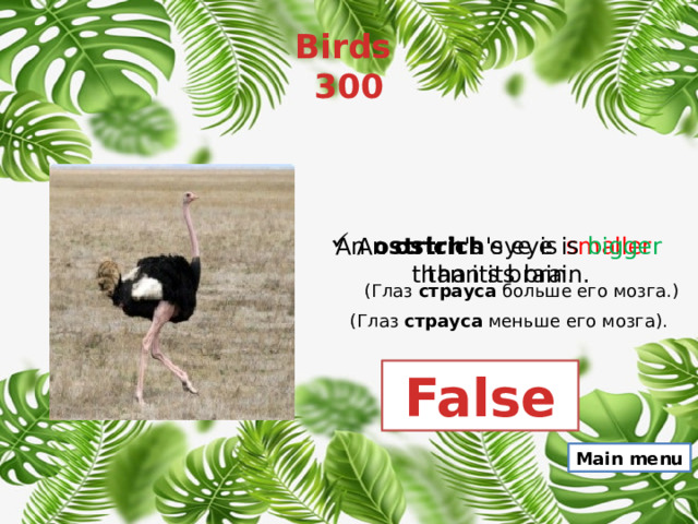 Birds  300 An  ostrich 's eye is bigger than its brain. An  ostrich 's eye is smaller than its brain. (Глаз  страуса  больше его мозга.) (Глаз  страуса  меньше его мозга). False Main menu 