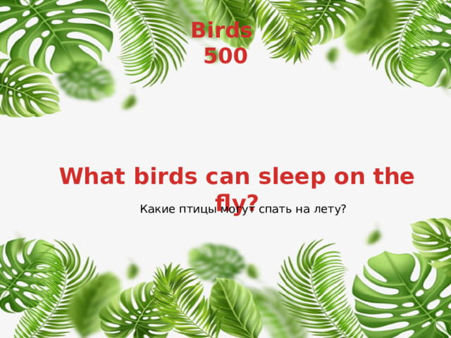Birds  500 What birds can sleep on the fly? Какие птицы могут спать на лету? 