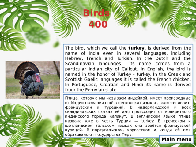 Birds  400 The bird, which we call the turkey , is derived from the name of India even in several languages, including Hebrew, French and Turkish. In the Dutch and the Scandinavian languages ​ its name comes from a particular Indian city of Calicut. In English, the bird is named in the honor of Turkey - turkey. In the Greek and Scottish Gaelic languages ​​it is called the French chicken. In Portuguese, Croatian and Hindi its name is derived from the Peruvian state. Птица, которую мы называем индейкой, имеет производные от Индии названия ещё в нескольких языках, включая иврит, французский и турецкий. В нидерландском и всех скандинавских языках её имя происходит от конкретного индийского города Каликут. В английском языке птица названа уже в честь Турции — turkey. В греческом и шотландском гэльском языках она зовётся французской курицей. В португальском, хорватском и хинди её имя образовано от государства Перу. Main menu 