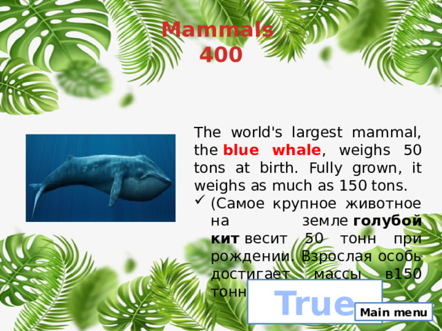 Mammals  400 The world's largest mammal, the  blue whale , weighs 50 tons at birth. Fully grown, it weighs as much as 150 tons. (Самое крупное животное на земле  голубой кит  весит 50 тонн при рождении. Взрослая особь достигает массы в150 тонн). True Main menu 