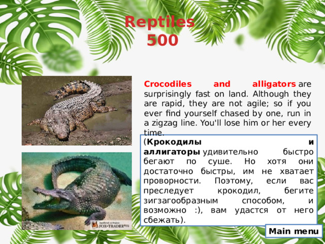 Reptiles  500 Crocodiles and alligators   are surprisingly fast on land. Although they are rapid, they are not agile; so if you ever find yourself chased by one, run in a zigzag line. You'll lose him or her every time. ( Крокодилы и аллигаторы  удивительно быстро бегают по суше. Но хотя они достаточно быстры, им не хватает проворности. Поэтому, если вас преследует крокодил, бегите зигзагообразным способом, и возможно :), вам удастся от него сбежать). Main menu 