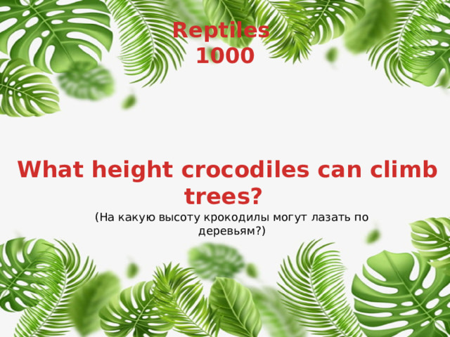 Reptiles  1000 What height crocodiles can climb trees? (На какую высоту крокодилы могут лазать по деревьям?) 