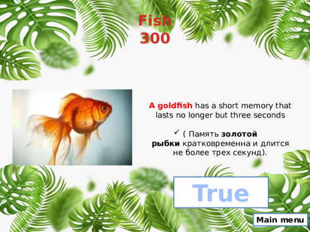 Fish  300 A goldfish has a short memory that lasts no longer but three seconds ( Память  золотой рыбки  кратковременна и длится не более трех секунд). True Main menu 