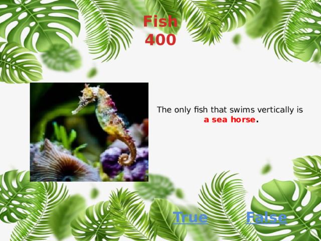 Fish  400 The only fish that swims vertically is a sea horse . False True 