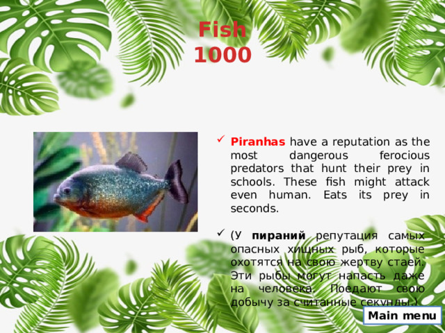 Fish  1000 Piranhas have a reputation as the most dangerous ferocious predators that hunt their prey in schools. These fish might attack even human. Eats its prey in seconds. (У пираний репутация самых опасных хищных рыб, которые охотятся на свою жертву стаей. Эти рыбы могут напасть даже на человека. Поедают свою добычу за считанные секунды.) Main menu 