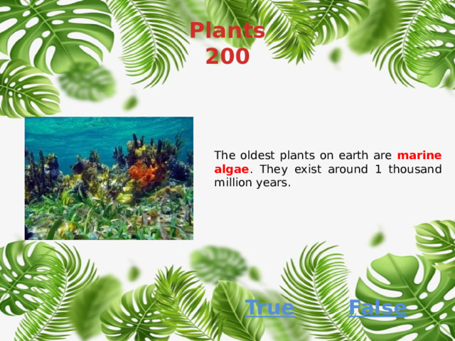 Plants  200 The oldest plants on earth are marine algae . They exist around 1 thousand million years. False True 