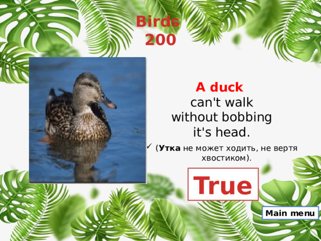 Birds  200 A duck  can't walk without bobbing it's head. ( Утка  не может ходить, не вертя хвостиком). True Main menu 