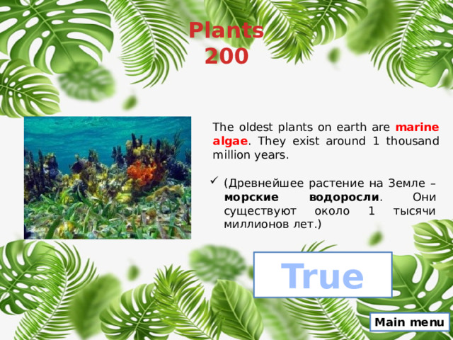 Plants  200 The oldest plants on earth are marine algae . They exist around 1 thousand million years. (Древнейшее растение на Земле – морские водоросли . Они существуют около 1 тысячи миллионов лет.) True Main menu 