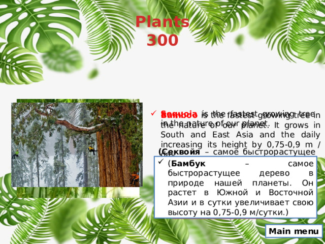 Plants  300 Sequoia is the fastest growing tree in the nature of our planet. Bamboo is the fastest growing tree in the nature of our planet. It grows in South and East Asia and the daily increasing its height by 0,75-0,9 m / day . (Секвойя – самое быстрорастущее дерево в природе нашей планеты.) ( Бамбук – самое быстрорастущее дерево в природе нашей планеты. Он растет в Южной и Восточной Азии и в сутки увеличивает свою высоту на 0,75-0,9 м/сутки.) False Main menu 