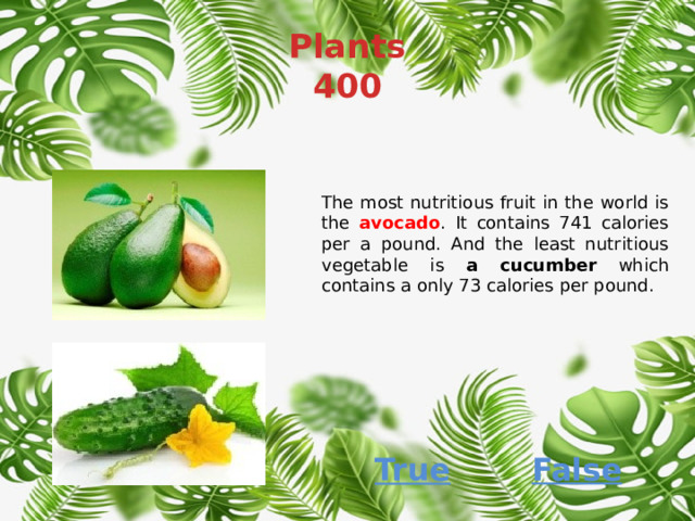 Plants  400 The most nutritious fruit in the world is the avocado . It contains 741 calories per a pound. And the least nutritious vegetable is a cucumber which contains a only 73 calories per pound. False True 