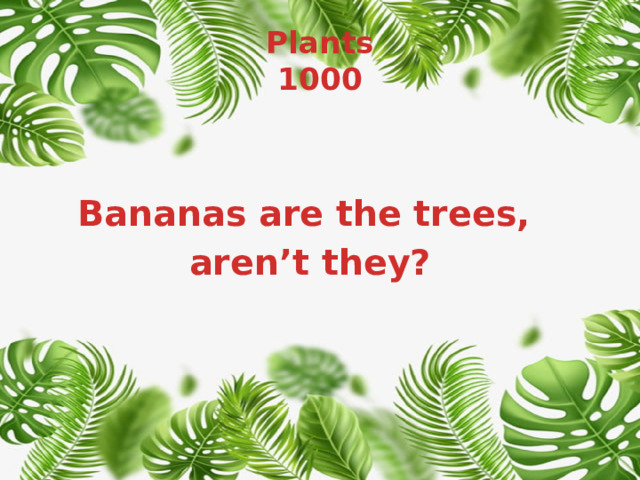 Plants  1000 Bananas are the trees, aren’t they? 