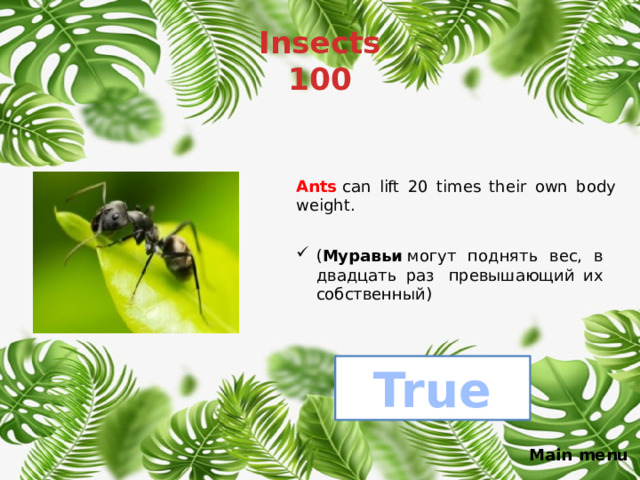 Insects  100 Ants  can lift 20 times their own body weight. ( Муравьи  могут поднять вес, в двадцать раз  превышающий их собственный) True Main menu 