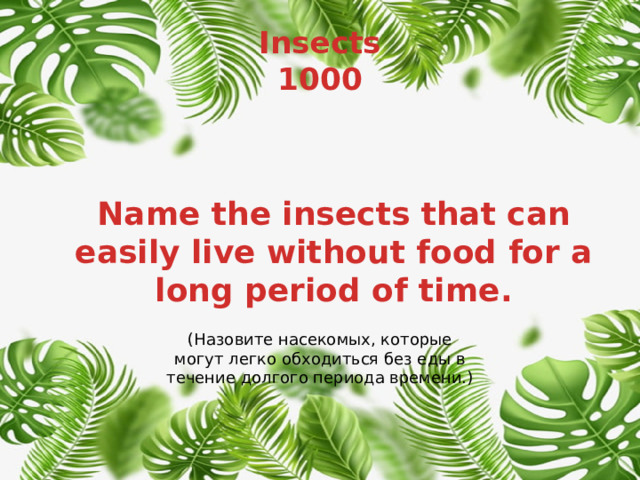 Insects  1000 Name the insects that can easily live without food for a long period of time. (Назовите насекомых, которые могут легко обходиться без еды в течение долгого периода времени.) 