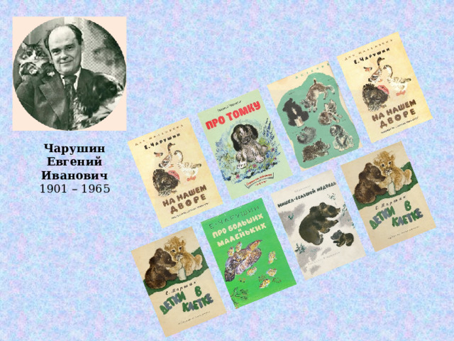Чарушин  Евгений Иванович 1901 – 1965 Художник — график, скульптор и писатель, Евгений Иванович родился в семье маститого архитектора И.А. Чарушина, оказавшего влияние на застройку многих городов Прикамья и Предуралья.   В детстве будущий художник любил книги о природе, много раз перечитывал «Жизнь животных» А. Брема. Окончив Академию художеств, Чарушин стал художником-анималистом и посвятил свое творчество оформлению детских рассказов о животных.  Чарушинские звери всегда очень трогательны, эмоциональны. Он стремился крупным планом показать животное, при этом не только создав художественный образ, но и изобразив своего героя максимально правдиво с точки зрения биологии.   Выдающиеся иллюстрации Чарушина для книги Виталия Бианки даже приобрела Третьяковская галерея. А во время работы с Самуилом Маршаком над книгой «Детки в клетке», по настоянию писателя, Чарушин попробовал сочинять сам. Так появились его рассказы «Томка», «Волчишко» и другие.  