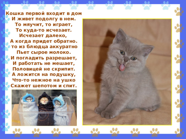 Кошка первой входит в дом И живет подолгу в нем. То мяучит, то играет, То куда-то исчезает. Исчезает далеко, А когда придет обратно.  то из блюдца аккуратно Пьет сырое молоко. И погладить разрешает, И работать не мешает, Половицей не скрипит. А ложится на подушку, Что-то нежное на ушко Скажет шепотом и спит. 
