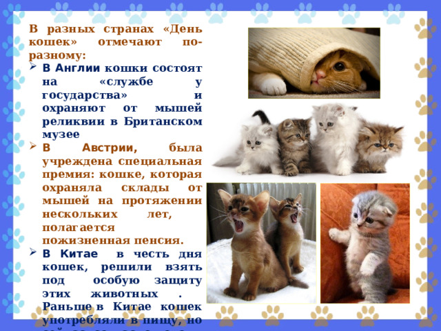 В разных странах «День кошек» отмечают по-разному: В Англии кошки состоят на «службе у государства» и охраняют от мышей реликвии в Британском музее В Австрии, была учреждена специальная премия: кошке, которая охраняла склады от мышей на протяжении нескольких лет, полагается пожизненная пенсия. В Китае в честь дня кошек, решили взять под особую защиту этих животных . Раньше в Китае кошек употребляли в пищу, но сейчас, согласно новому закону, всех, кто отважится на такое блюдо, ждет большой штраф или заключение в тюрьму . 