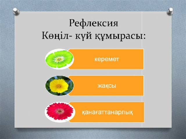 Рефлексия 