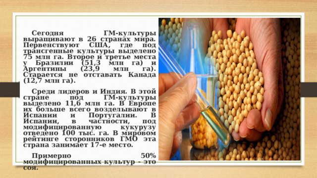  Сегодня ГМ-культуры выращивают в 26 странах мира. Первенствуют США, где под трансгенные культуры выделено 75 млн га. Второе и третье места у Бразилии (51,3 млн га) и Аргентины (23,9 млн га). Старается не отставать Канада (12,7 млн га). Среди лидеров и Индия. В этой стране под ГМ-культуры выделено 11,6 млн га. В Европе их больше всего возделывают в Испании и Португалии. В Испании, в частности, под модифицированную кукурузу отведено 100 тыс. га. В мировом рейтинге сторонников ГМО эта страна занимает 17-е место. Примерно 50% модифицированных культур - это соя. 