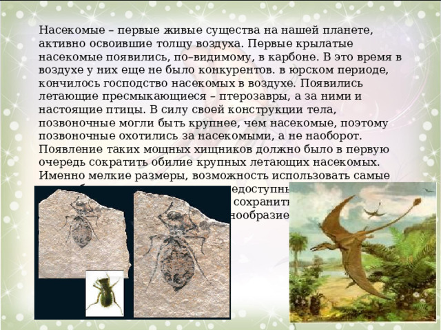 Насекомые – первые живые существа на нашей планете, активно освоившие толщу воздуха. Первые крылатые насекомые появились, по–видимому, в карбоне. В это время в воздухе у них еще не было конкурентов. в юрском периоде, кончилось господство насекомых в воздухе. Появились летающие пресмыкающиеся – птерозавры, а за ними и настоящие птицы. В силу своей конструкции тела, позвоночные могли быть крупнее, чем насекомые, поэтому позвоночные охотились за насекомыми, а не наоборот. Появление таких мощных хищников должно было в первую очередь сократить обилие крупных летающих насекомых. Именно мелкие размеры, возможность использовать самые разнообразные укрытия, часто недоступные для позвоночных, позволили насекомым не только сохраниться, но и значительно увеличить свое разнообразие. 