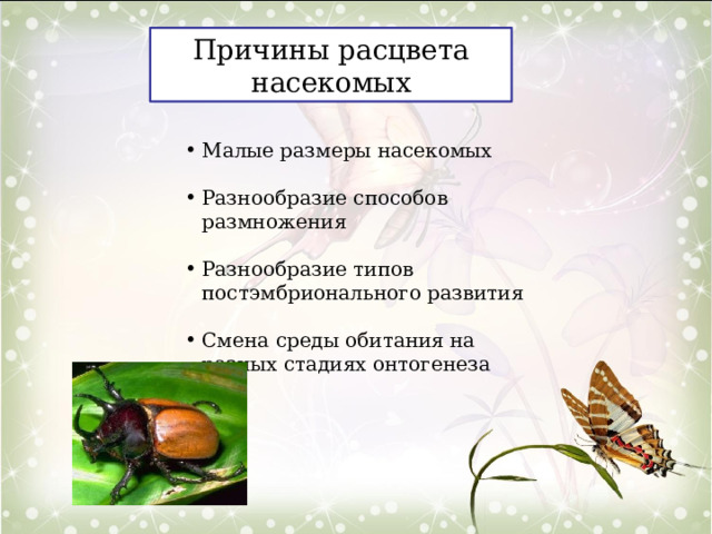 Причины расцвета насекомых Малые размеры насекомых Разнообразие способов размножения Разнообразие типов постэмбрионального развития Смена среды обитания на разных стадиях онтогенеза 