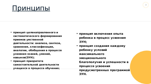 Принципы  принцип целенаправленного и систематического формирования приемов умственной деятельности: анализа, синтеза, сравнения, классификации, аналогии, обобщения в процессе усвоения знаний, умений, навыков(ЗУН); принцип приоритета самостоятельной деятельности учащихся в процессе обучения ;  принцип включения опыта ребенка в процесс усвоения ЗУН; принцип создания каждому ребенку условий максимального эмоционального благополучия и успешности в процессе усвоения предусмотренных программой ЗУН. 
