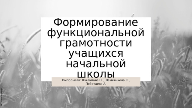 Формирование функциональной грамотности учащихся начальной школы Выполнили: Шаломова Н., Шемелькова К., Поботаева А. 
