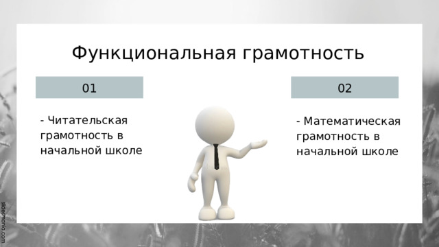 Функциональная грамотность 01 02 - Читательская грамотность в начальной школе - Математическая грамотность в начальной школе 