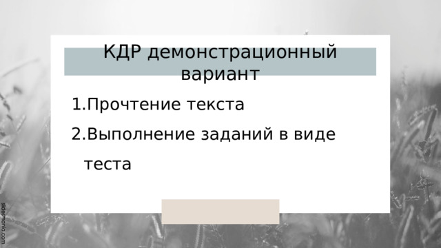 КДР демонстрационный вариант Прочтение текста Выполнение заданий в виде теста 