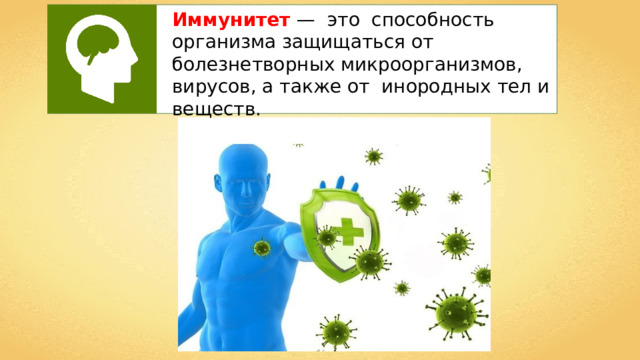 Иммунитет  — это способность организма защищаться от болезнетворных микроорганизмов, вирусов, а также от инородных тел и веществ. 