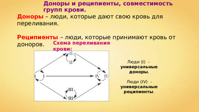 Доноры и реципиенты, совместимость групп крови. Доноры – люди, которые дают свою кровь для переливания. Реципиенты – люди, которые принимают кровь от доноров. Схема переливания крови: Люди (  ) - универсальные доноры ,  Люди (  V) - универсальные реципиенты .             