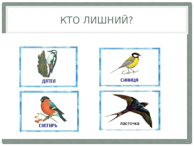 Кто лишний? 