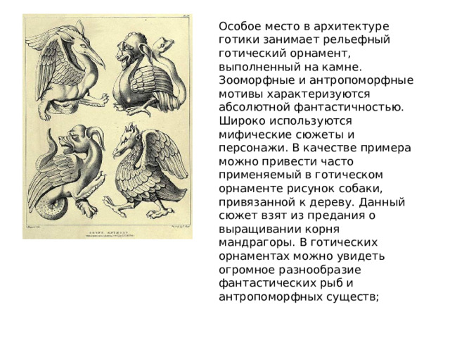 Особое место в архитектуре готики занимает рельефный готический орнамент, выполненный на камне. Зооморфные и антропоморфные мотивы характеризуются абсолютной фантастичностью. Широко используются мифические сюжеты и персонажи. В качестве примера можно привести часто применяемый в готическом орнаменте рисунок собаки, привязанной к дереву. Данный сюжет взят из предания о выращивании корня мандрагоры. В готических орнаментах можно увидеть огромное разнообразие фантастических рыб и антропоморфных существ; 