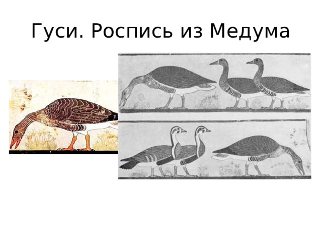 Гуси. Роспись из Медума 