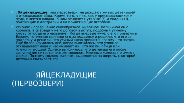 .  Яйцекладущие , или первозвери, не рождают живых детенышей, а откладывают яйца. Кроме того, у них, как у пресмыкающихся и птиц, имеется клоака. К ним относятся утконос (!) и ехидны (!), обитающие в Австралии и на прилегающих островах. Утконос – совершенно своеобразное животное. Величиной он с кролика, а спереди у него роговой выступ, подобный утиному клюву (отсюда его название). Когда впервые чучело его привезли в Европу, то ученые приняли его за подделку и решили, что его за подделку и решили, что утиный клюв пришит к какому – то зверю. Ещё более изумились все, когда выяснилось, что утконос… откладывает яйца и насиживает их! Кто же он: птица или млекопитающее? Однако выяснилось, что детеныш его после вылупления питается все же молоком. Млечные железы не имеют сосков. Поэтому молоко, как пот, выделяется на шерсть, с которой детеныш слизывает его.   ЯЙЦЕКЛАДУЩИЕ (ПЕРВОЗВЕРИ) 