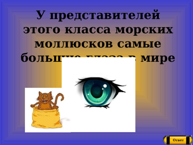 У представителей этого класса морских моллюсков самые большие глаза в мире Ответ 